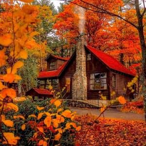 Meet your Posher, Judy